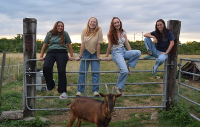 Abschied von Alina, Hannah, Carina und Tabita