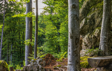 Praxistag Erlebnisp&auml;dagogik