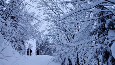 Hier geht's zu den schönsten Impressionen unseres Ski-Tags 2019!